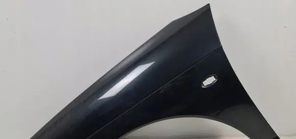 Citroen C6 Fender