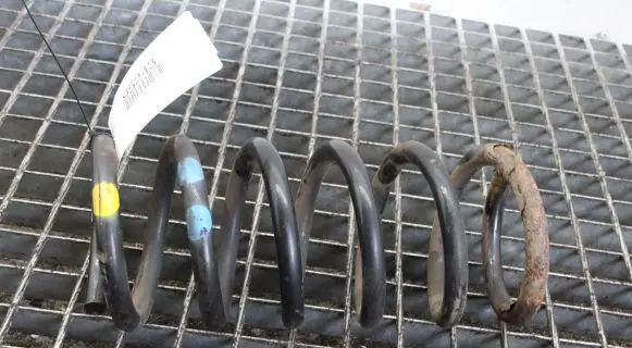 Opel Antara Rear coil spring
