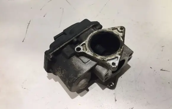Volkswagen PASSAT B6 EGR valve 03G131501