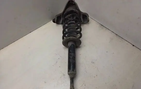 Volkswagen PASSAT B5.5 Front shock absorber with coil spring 81490355