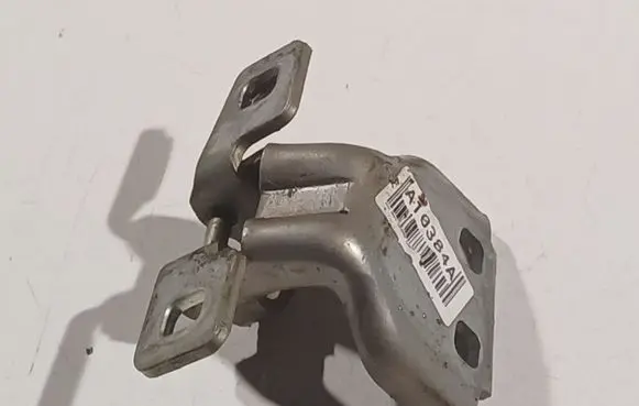Rear door lower hinge