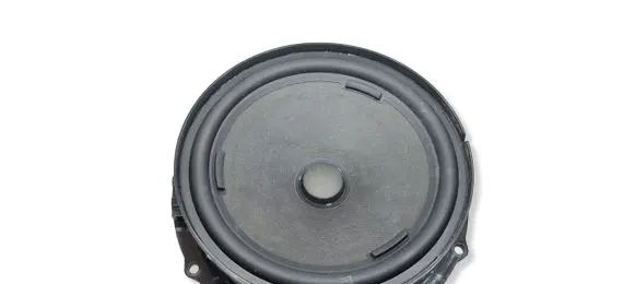 Volkswagen PASSAT B8 Front door speaker 3G0035454