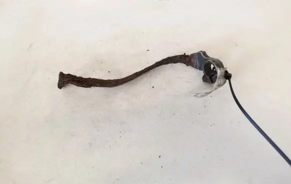 Audi A4 S4 B6 8E 8H Positive cable (battery)