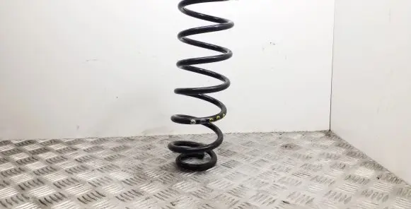 Volkswagen Tiguan Rear coil spring