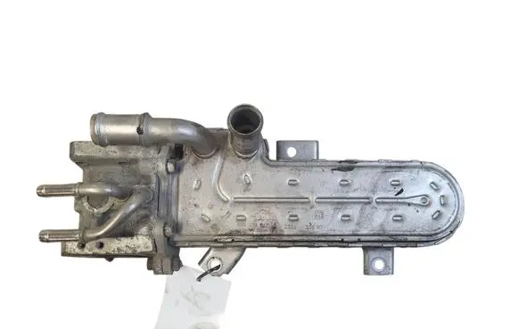 Seat Toledo III (5P) EGR valve cooler 038131513AD 3210275