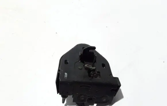 Renault Trafic II (X83) Tailgate/trunk/boot lock/catch/latch 8200006253