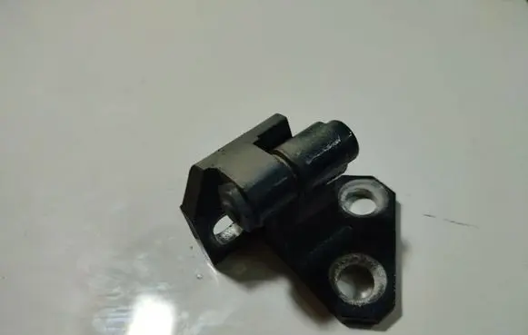 Rear door lower hinge