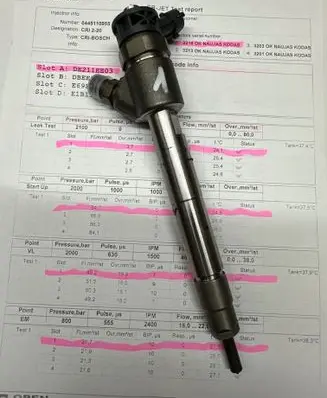Citroen C3 Fuel injector 0445110955 9828959880