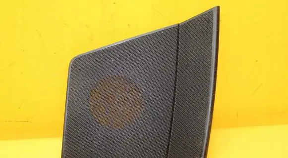 Volkswagen Crafter Front door speaker cover trim A9066890108