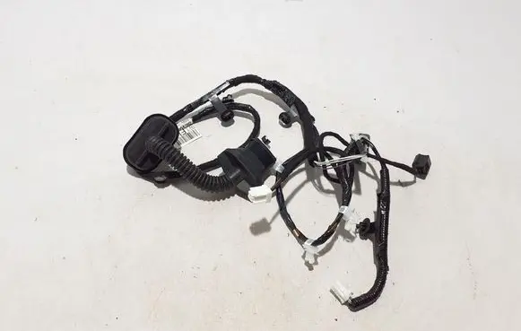 Nissan Qashqai J12 Other wiring loom 24127HN10E