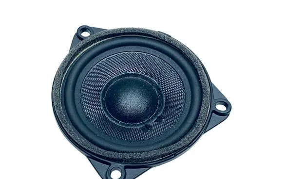 Audi E-tron GT Rear door speaker 971035415C