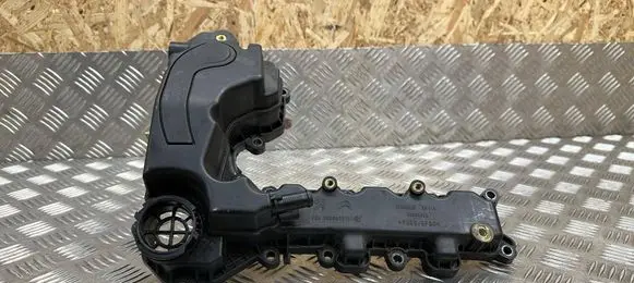 Citroen C4 Cactus Rocker cam cover 9808923780