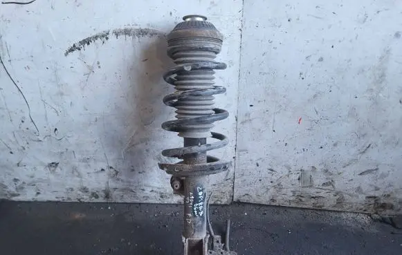 Opel Zafira B Front shock absorber with coil spring