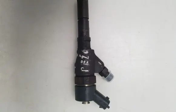 Peugeot 406 Fuel injector 9637536080