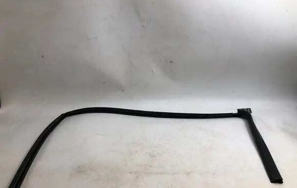 Hyundai Kona II Rubber seal front door window/glass 