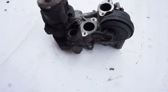 Volkswagen Jetta VI EGR valve