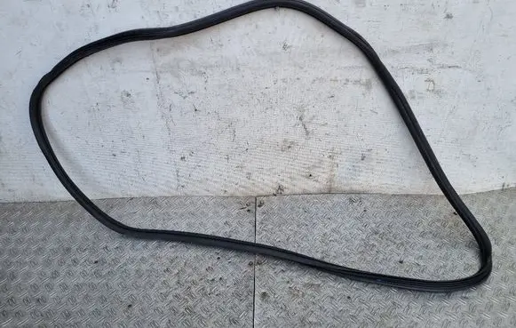Citroen DS3 Front door rubber seal 9670312080