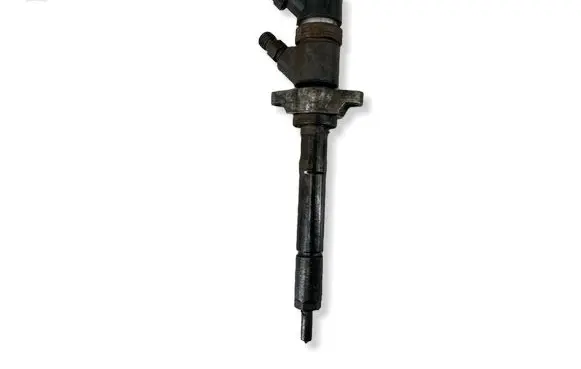 Citroen C4 I Picasso Fuel injector 0445110239