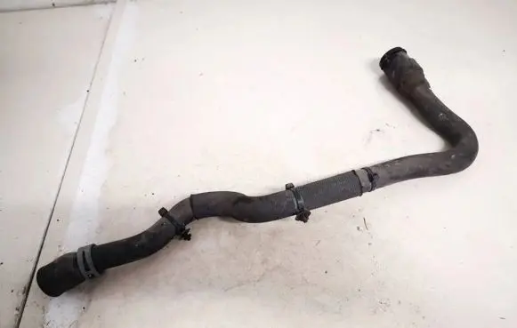 Mercedes-Benz A W169 Engine coolant pipe/hose a1698301296