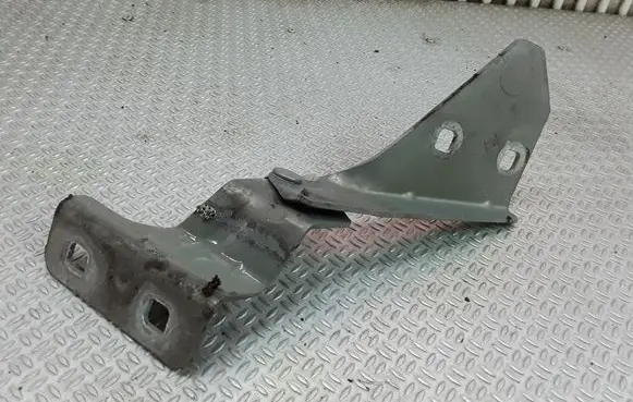 Renault Megane II Engine bonnet/hood hinges