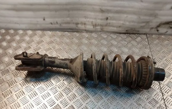 Land Rover Freelander Rear shock absorber with coil spring 