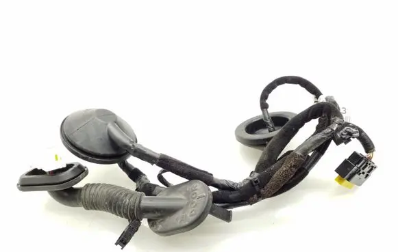 Rear door wiring loom