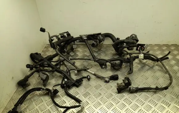 Engine installation wiring loom