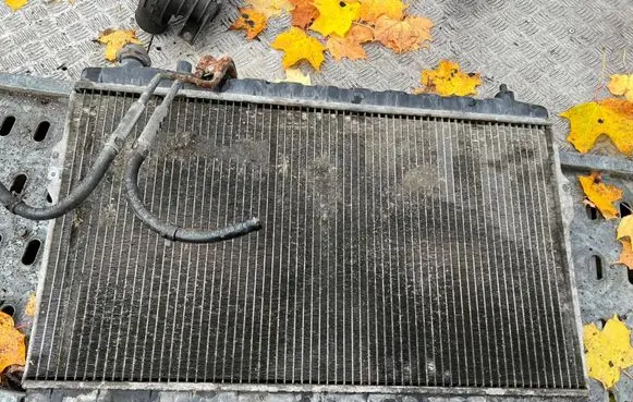 Hyundai Trajet Coolant radiator 253103A201