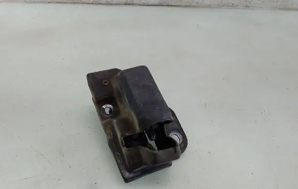 Hyundai H-1, Starex, Satellite Loading door lock 