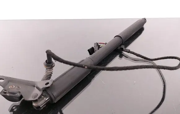 BMW X5 E70 Tailgate/trunk strut/damper 7172059