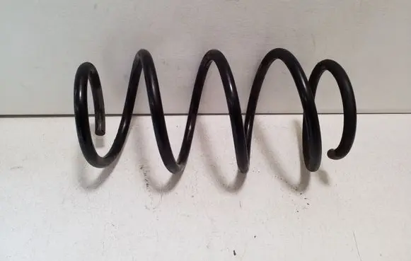 Rear coil spring