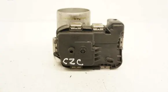 Throttle body valve