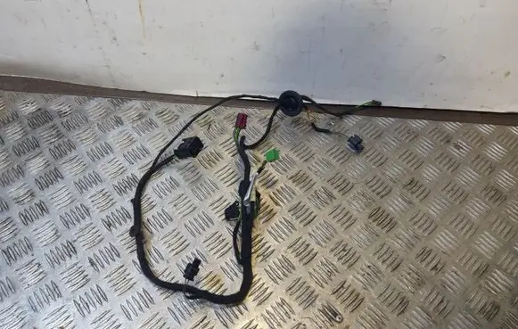 Mercedes-Benz CLA C117 X117 W117 Front door wiring loom A1175400705
