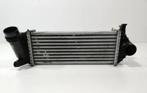 Renault Kangoo II Intercooler radiator 144963234R