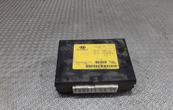 Hyundai Getz Other control units/modules 954001C312