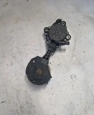 Citroen C4 II Alternator belt tensioner V759883280