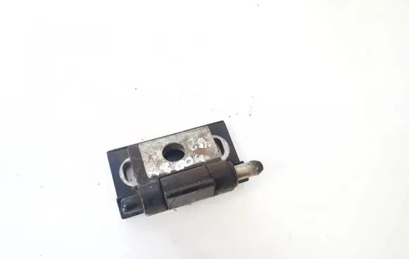 Volvo S60 Rear door lower hinge