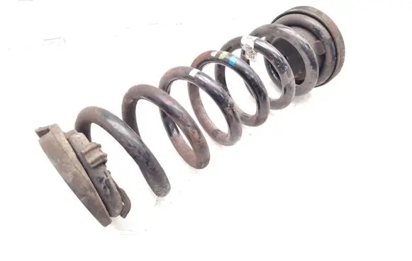 Jaguar I-Pace Rear coil spring J9D3-5534-BB