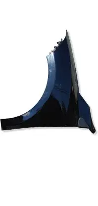 Renault Megane III Fender 8200993338