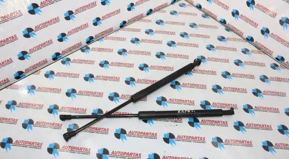 BMW 3 E92 E93 Front bonnet/hood damper/strut 7129190