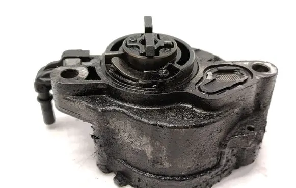 Citroen Berlingo Vacuum pump D1561A19055