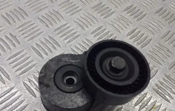 Peugeot 407 Alternator belt tensioner pulley 604846