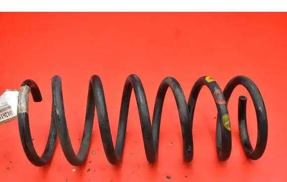 Rear coil spring