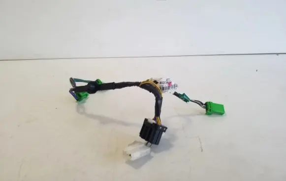 Other wiring loom