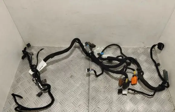 Maserati Quattroporte Other wiring loom 670006100