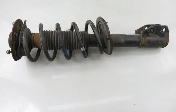 Chevrolet Captiva Front shock absorber with coil spring 95166268