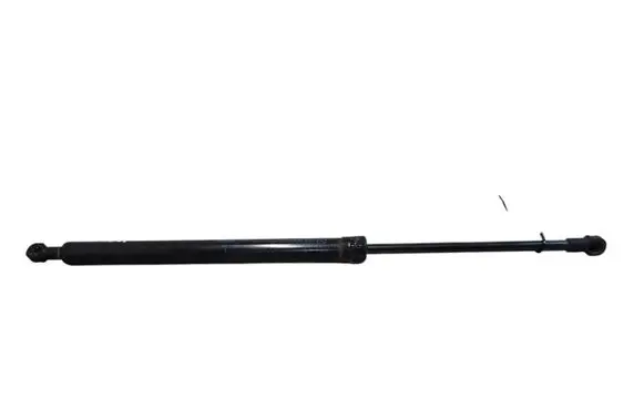 Tailgate/trunk strut/damper