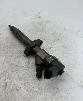 Renault Espace - Grand espace IV Fuel injector 8200084534