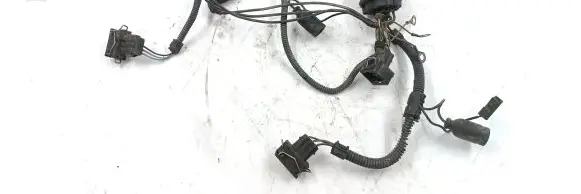 Front door wiring loom