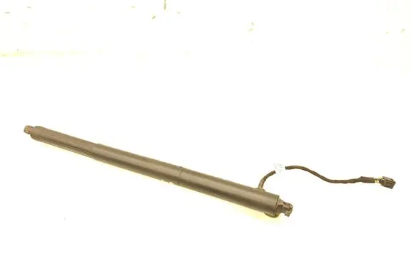 Tailgate/trunk strut/damper